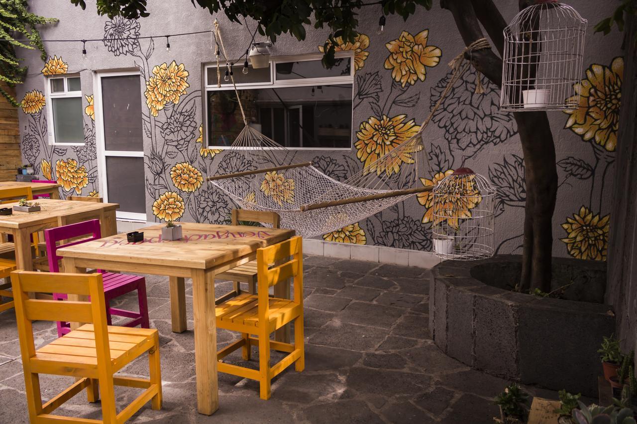 Casa Internacional Hotel Querétaro Zewnętrze zdjęcie